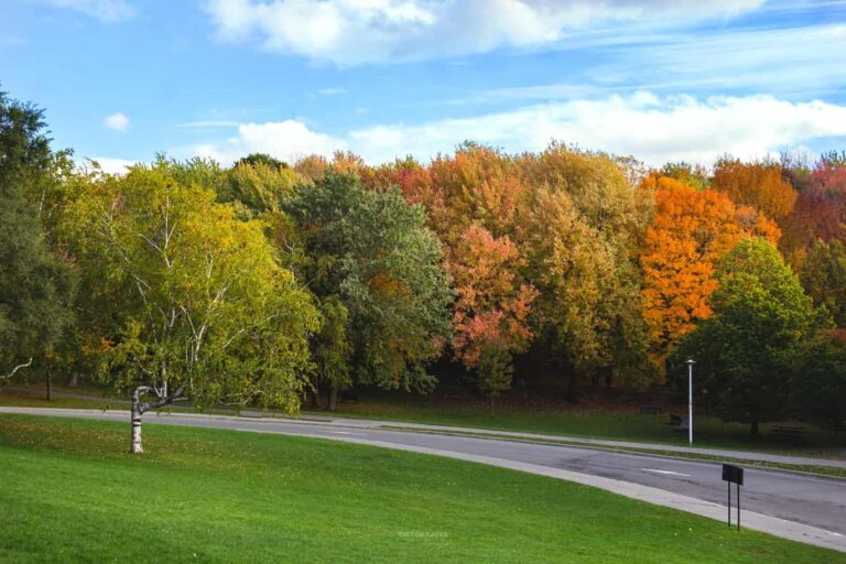 Saskatchewan PNP issues invitations to 621 candidates who have tech work experience