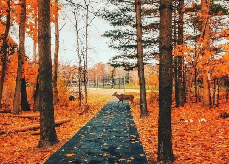 Canada distributes another 4,200 ITAs during Express Entry draw