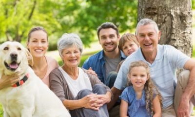 parents and grandparents immigration program