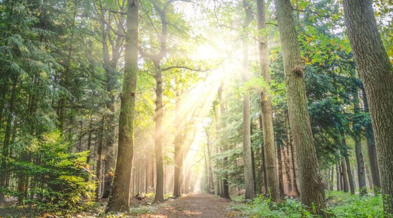 Canada Express Entry