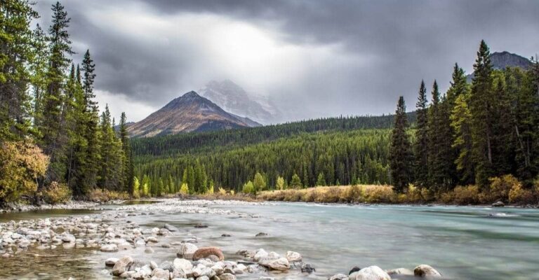 Aberta Express Entry