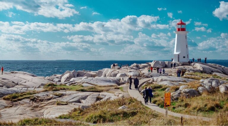 labour market priorities stream