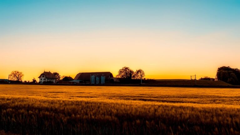 Saskatchewan Issues Over 500 Invitations via PNP Draw