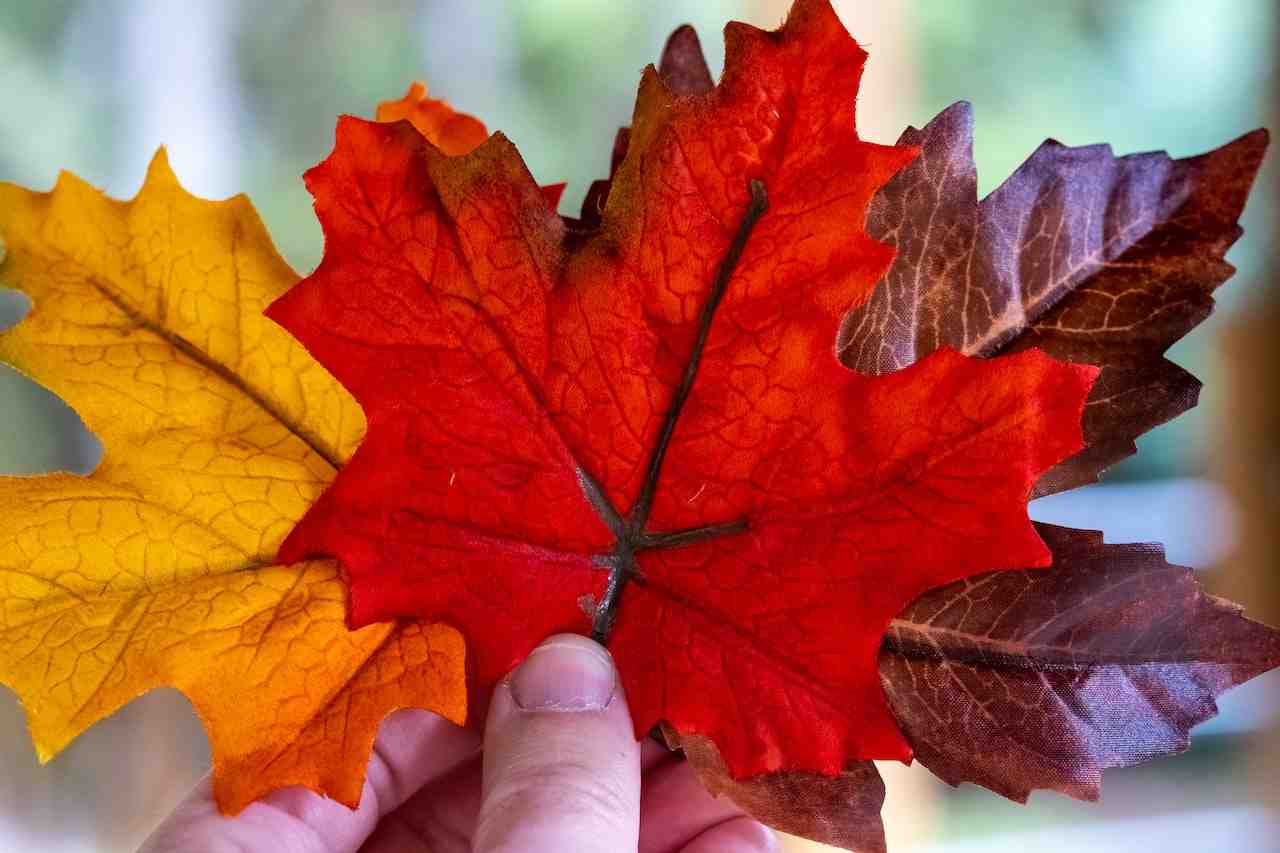 Protecting Canadian Immigration Integrity