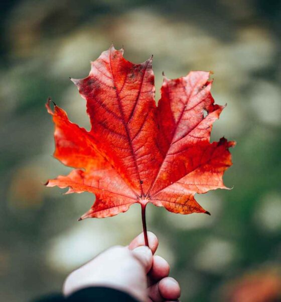 Saskatchewan Files Historic Charges