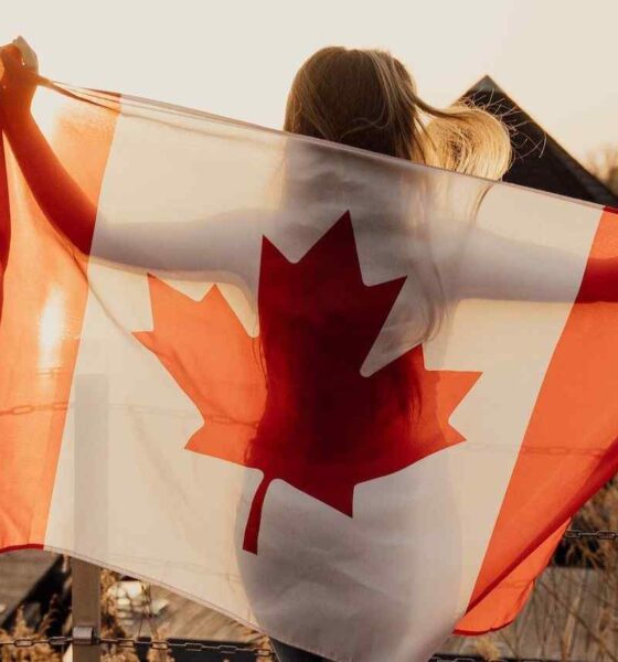 Express Entry Draw #377