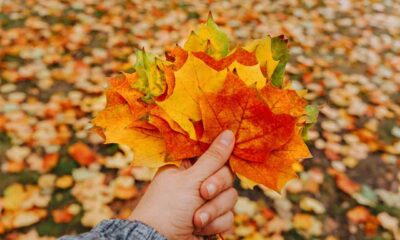 Recognize Migrant Spouses