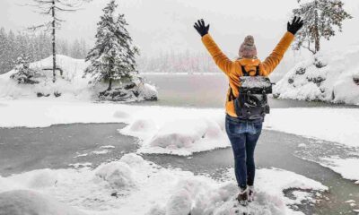 Canada International Arrivals Drop