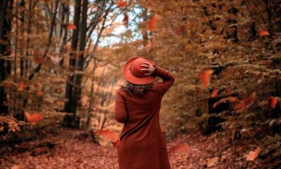 French-Language Selection