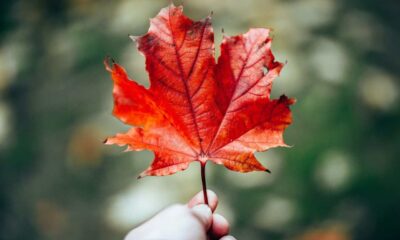 British Columbia Poll