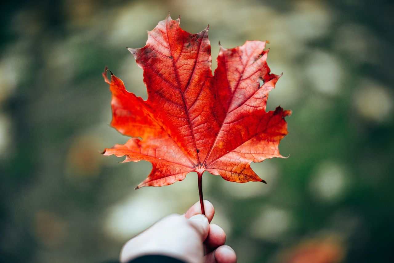 British Columbia Poll