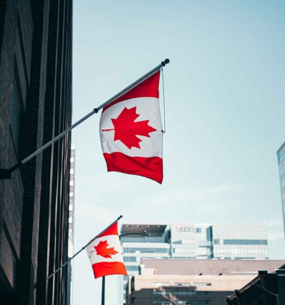 Afghan Immigration Crisis