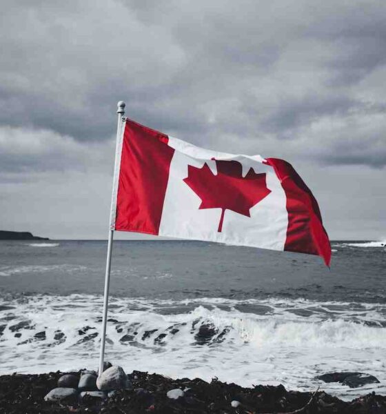 Canada Immigration Fraud Case