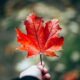 Migrant Workers in British Columbia